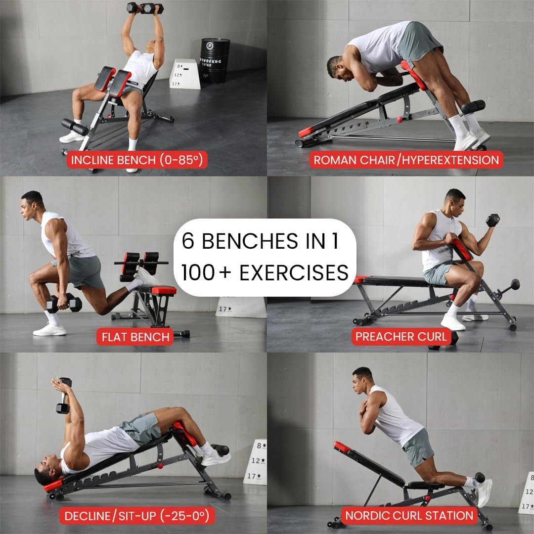 Finer Form Multi-Functional Adjustable FID Weight Bench and Roman Chair System